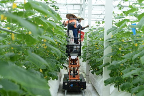 新華網(wǎng)長三角頻道 解碼旅游業(yè)務(wù)新生態(tài)，賦能區(qū)域文旅高質(zhì)量發(fā)展